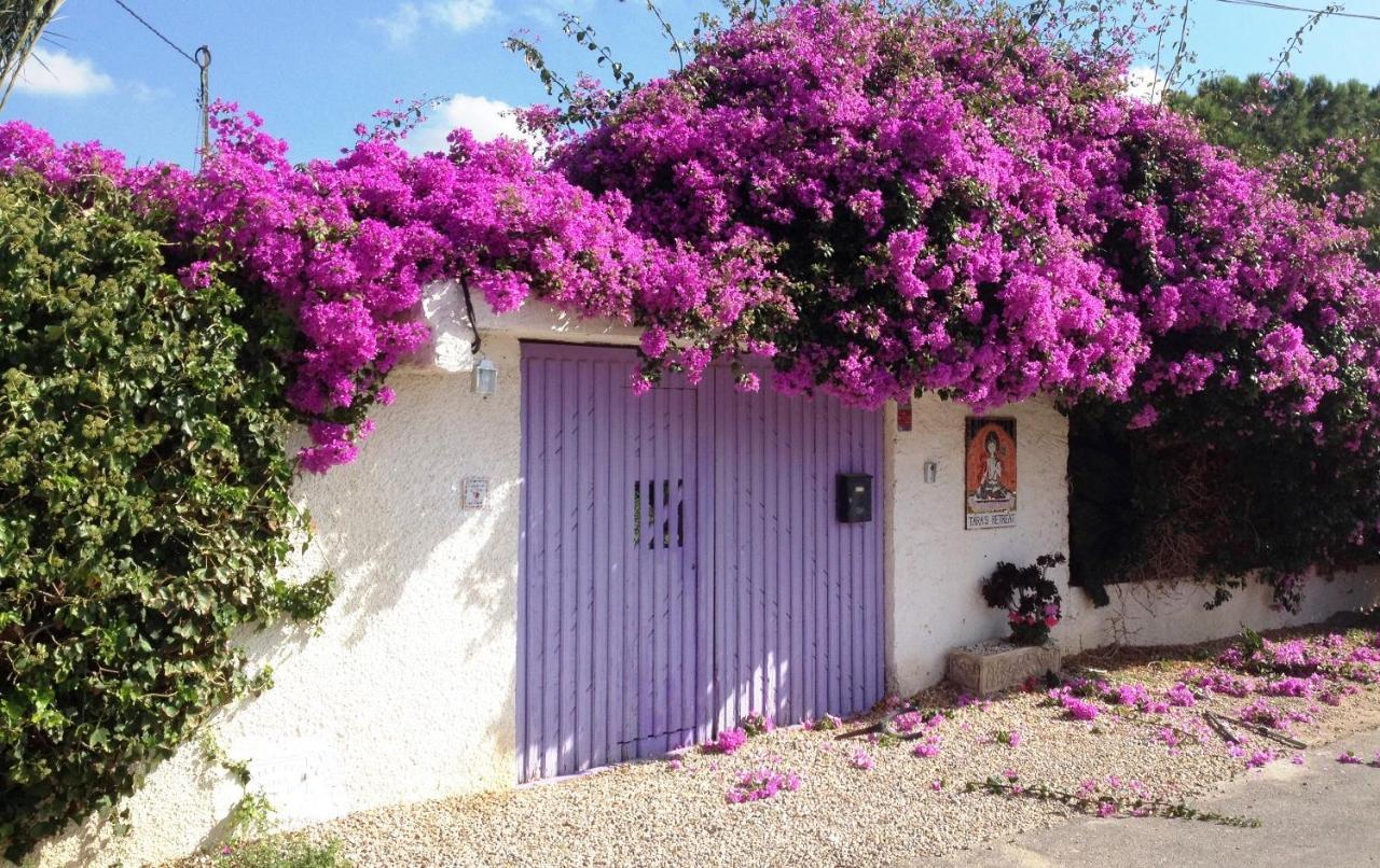 فندق Tara Casa كارتاخينه المظهر الخارجي الصورة